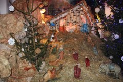 IMG_7143_m