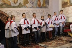IMG_7156_m